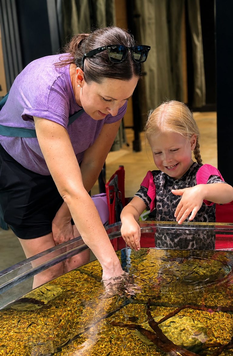 Doctor fish